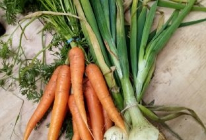 Carrots